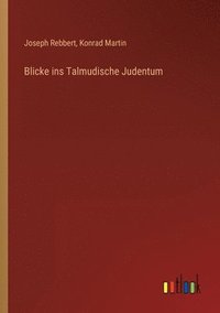 bokomslag Blicke ins Talmudische Judentum