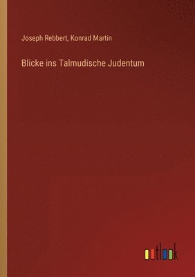 bokomslag Blicke ins Talmudische Judentum