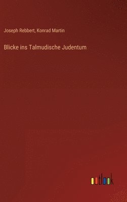 bokomslag Blicke ins Talmudische Judentum