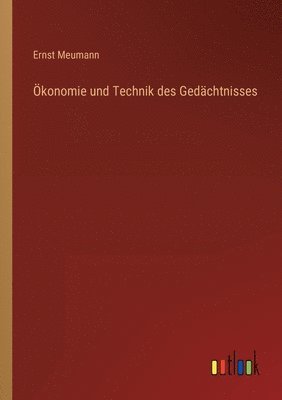 bokomslag konomie und Technik des Gedchtnisses