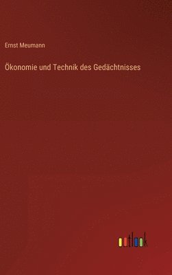 bokomslag konomie und Technik des Gedchtnisses