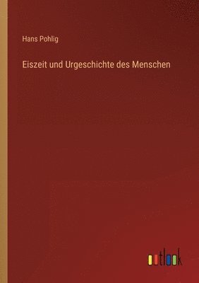 bokomslag Eiszeit und Urgeschichte des Menschen