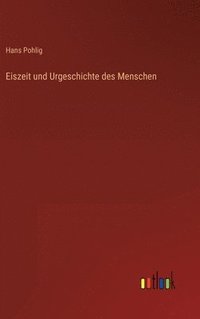 bokomslag Eiszeit und Urgeschichte des Menschen