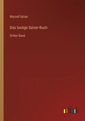 bokomslag lustige Salzer-Buch