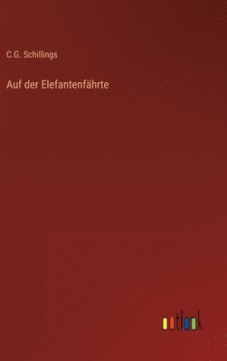 bokomslag Auf der Elefantenfährte