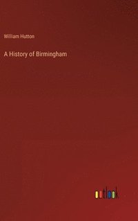 bokomslag A History of Birmingham