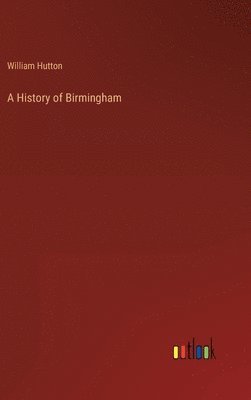 bokomslag A History of Birmingham