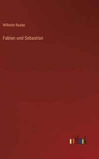 bokomslag Fabian und Sebastian