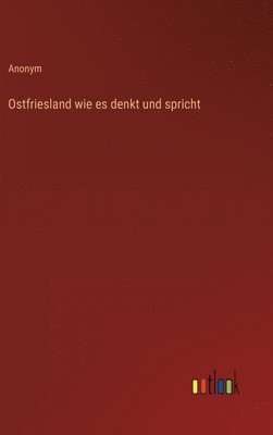 bokomslag Ostfriesland wie es denkt und spricht