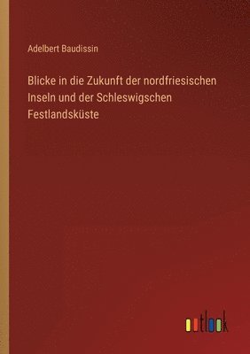 Adelbert Baudissin - Blicke in die Zukunft der nordfriesischen Inseln und der Schleswigschen Festlandsküste, Häftad