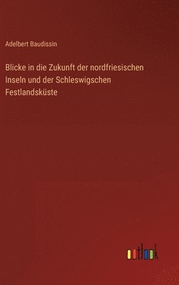 Adelbert Baudissin - Blicke in die Zukunft der nordfriesischen Inseln und der Schleswigschen Festlandsküste, Inbunden