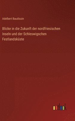 Blicke in die Zukunft der nordfriesischen Inseln und der Schleswigschen Festlandskste 1