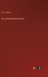 bokomslag Der polizeiwidrige Goethe