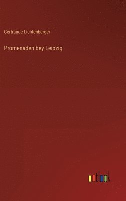 bokomslag Promenaden bey Leipzig