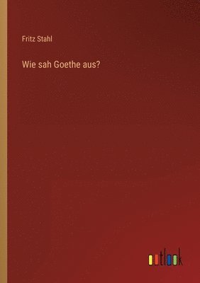 bokomslag Wie sah Goethe aus?