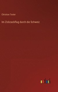 bokomslag Im Zickzackflug durch die Schweiz