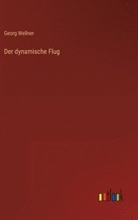 bokomslag dynamische Flug