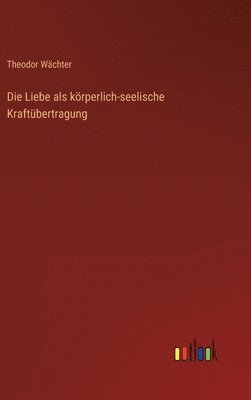 bokomslag Liebe als körperlich-seelische Kraftübertragung