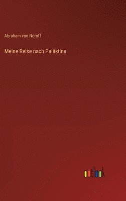 bokomslag Meine Reise nach Palästina