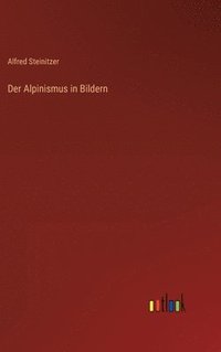 bokomslag Der Alpinismus in Bildern