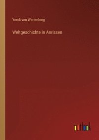 bokomslag Weltgeschichte in Anrissen