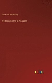 bokomslag Weltgeschichte in Anrissen