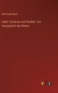 bokomslag Ueber Tandarois und Flordibel - Ein Artusgedicht des Pleiers