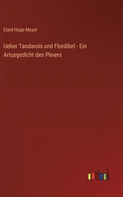 bokomslag Ueber Tandarois und Flordibel - Ein Artusgedicht des Pleiers