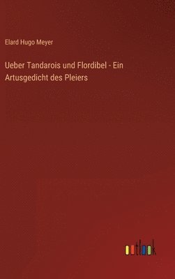 Ueber Tandarois und Flordibel - Ein Artusgedicht des Pleiers 1