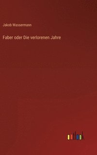 bokomslag Faber oder Die verlorenen Jahre