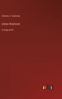 bokomslag Indian Boyhood