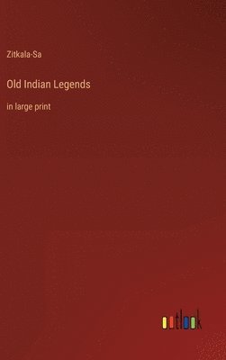 bokomslag Old Indian Legends