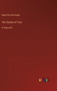 bokomslag Outlaw of Torn