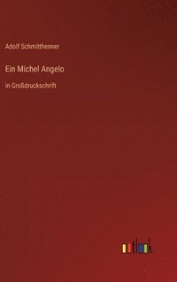 bokomslag Ein Michel Angelo