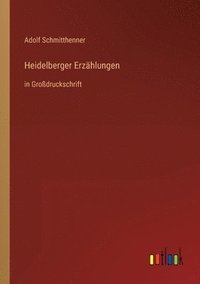 bokomslag Heidelberger Erzählungen