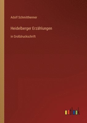 bokomslag Heidelberger Erzählungen