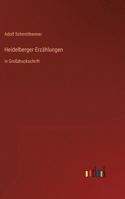 bokomslag Heidelberger Erzhlungen