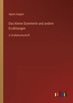 Agnes Sapper - kleine Dummerle und andere Erzählungen, Häftad