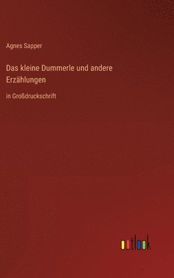 Agnes Sapper - kleine Dummerle und andere Erzählungen, Inbunden