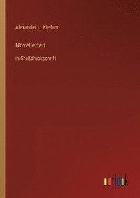 bokomslag Novelletten