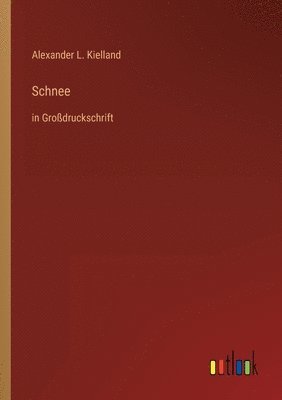 bokomslag Schnee