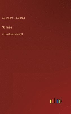 bokomslag Schnee