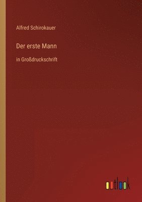 Alfred Schirokauer - erste Mann, Häftad
