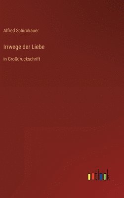 bokomslag Irrwege der Liebe