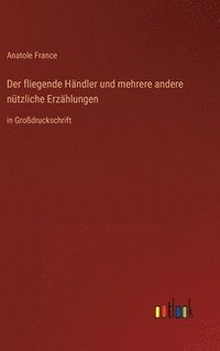 bokomslag Der fliegende Hndler und mehrere andere ntzliche Erzhlungen