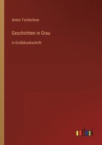 bokomslag Geschichten in Grau