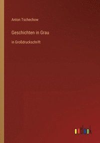 bokomslag Geschichten in Grau