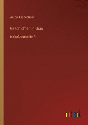 bokomslag Geschichten in Grau