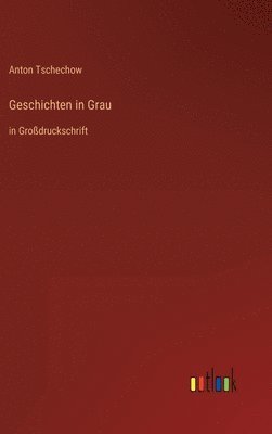 bokomslag Geschichten in Grau