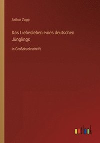 bokomslag Das Liebesleben eines deutschen Junglings